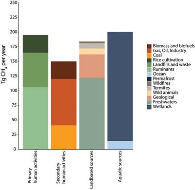 Methanotrophs: Discoveries, Environmental Relevance, and a Perspective on Current and Future Applications